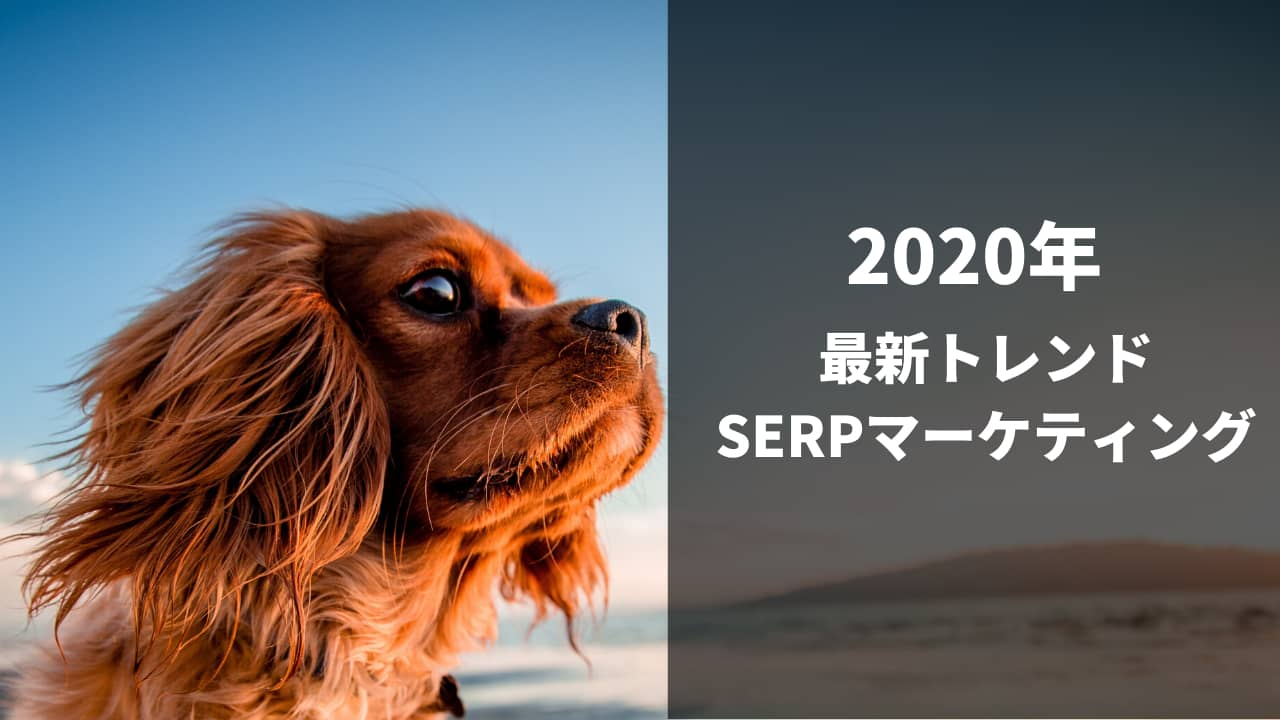 SERPマーケティング
