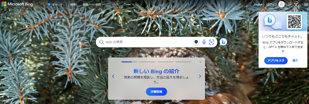bingトップページ画像